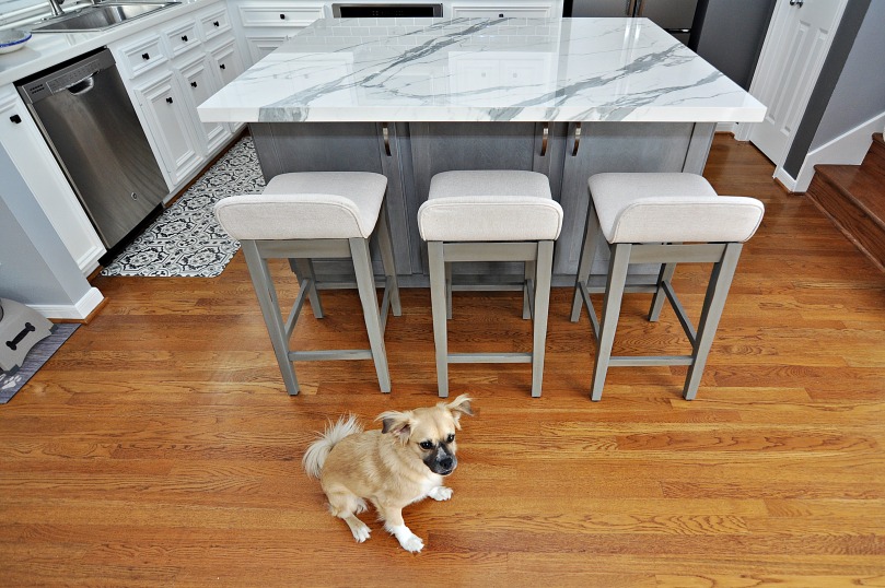 A dog sitting in front of a kitchen island on the floor