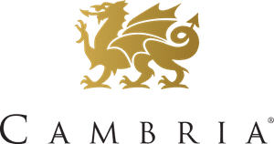 cambria logo 032FFB1A4B seeklogo.com 2