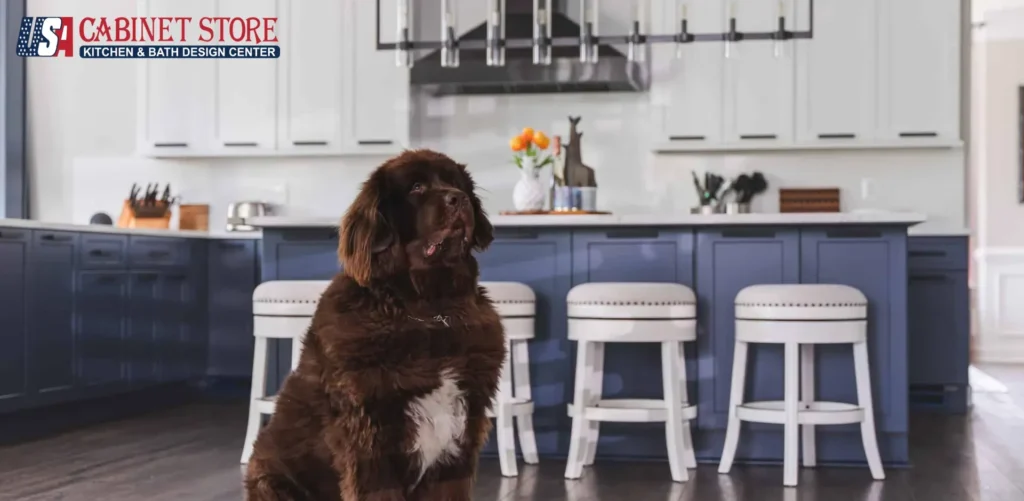 White Glove Kitchen Remodeling Hampton Roads | Chesapeake, Norfolk, Virginia Beach, Portsmouth 41 Ready-to-Experience-White-Glove-Kitchen-Remodeling burke va