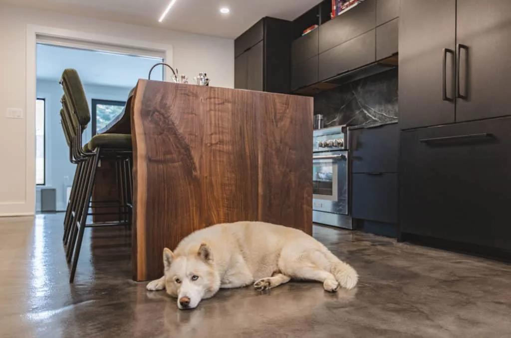 Finished Washington DC dark kitchen project by USA Cabinet Store with Showplace EVO cabinets