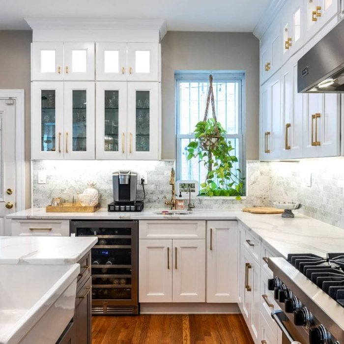 Transitional kitchen beverage station with built-in wine fridge, prep sink, glass cabinets, and hanging plant.