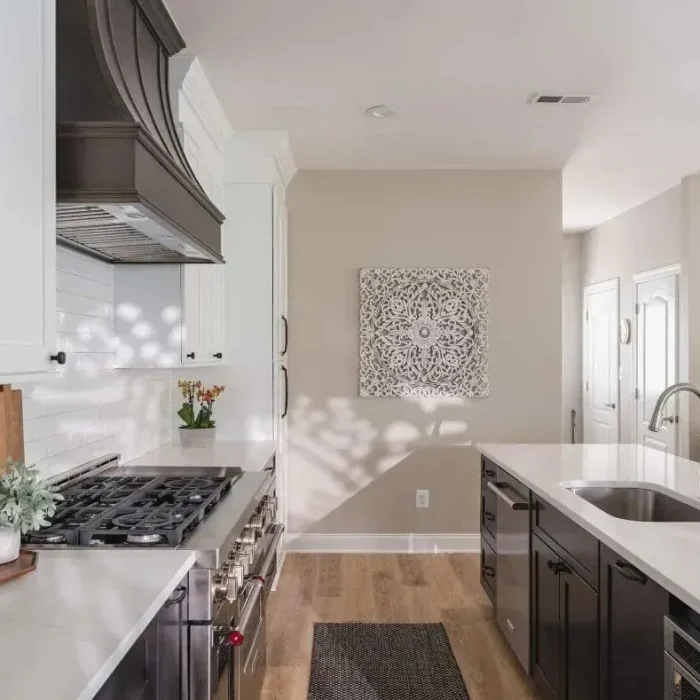 Park Creek Miyuki kitchen with professional gas range and custom dark wood vent hood